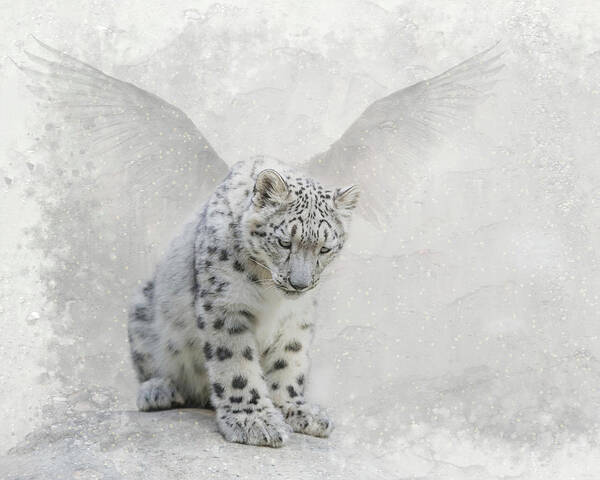 Snow Leopard Poster featuring the digital art Snow Angel by Nicole Wilde