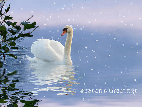 Swan Poster featuring the photograph Snow Swan II by Jessica Jenney