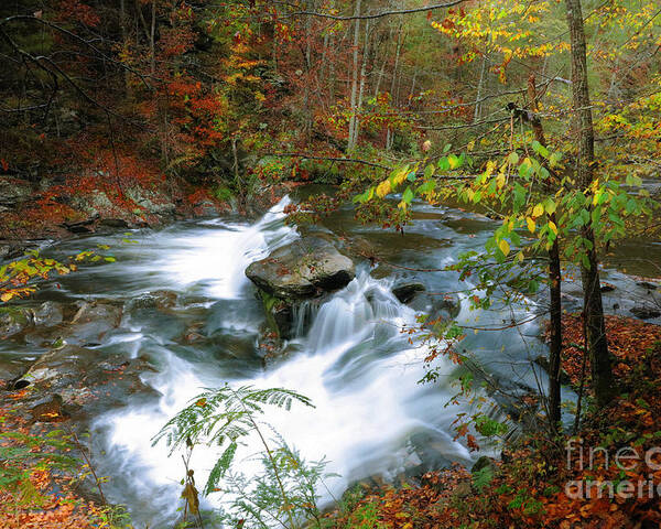 Creeks Poster featuring the photograph Solitude Falls by Rick Lipscomb