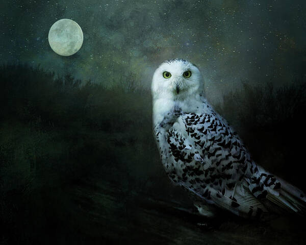 Owl Poster featuring the digital art Soul of the Moon by Nicole Wilde