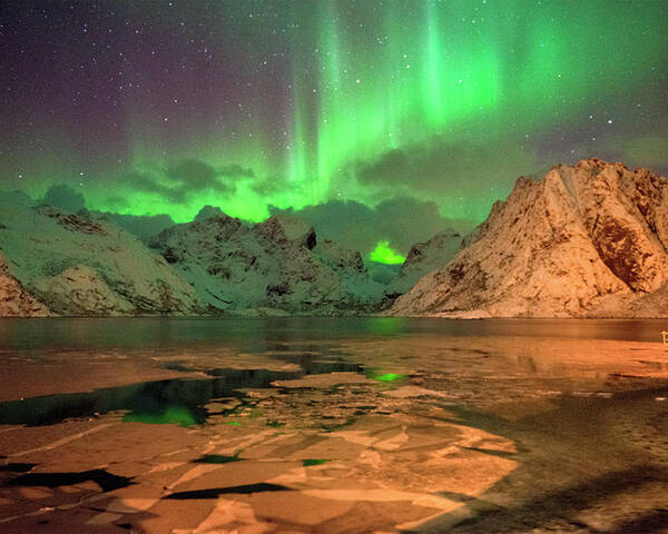 Northern Light Poster featuring the photograph Spectacular night in Lofoten 1 by Dubi Roman
