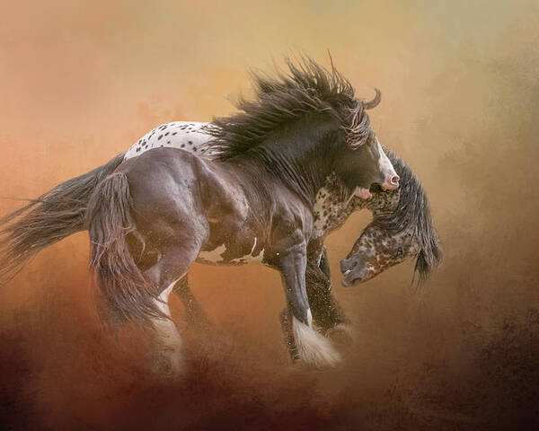 Stallion Poster featuring the digital art Stallion Play by Nicole Wilde