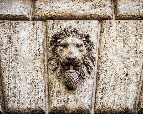 Rome Poster featuring the photograph Stone lion head in Rome, Italy by Fabiano Di Paolo