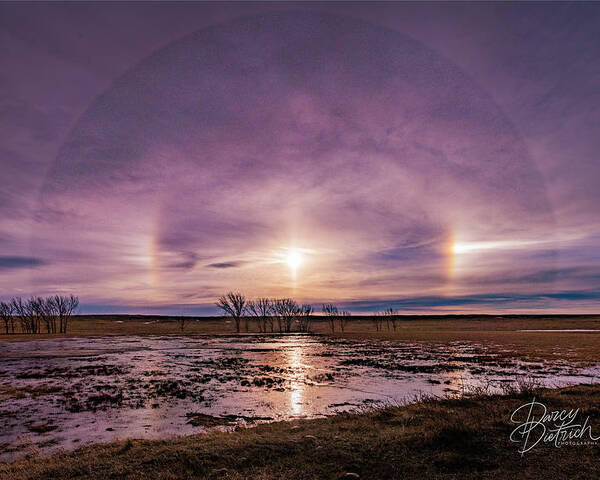 Sundog Poster featuring the photograph Sundogs by Darcy Dietrich