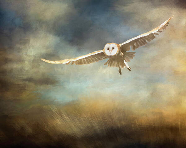Owl Poster featuring the digital art Sunrise Flight by Nicole Wilde