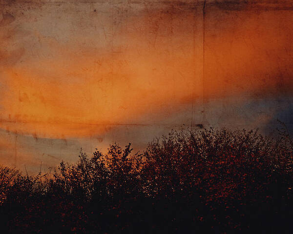 Land Poster featuring the photograph Sunset light by Yasmina Baggili
