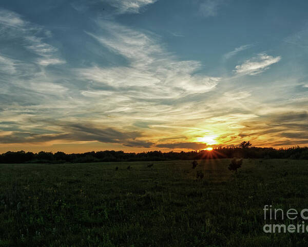 Prairie Poster featuring the photograph Sunset on the Prairie by Natural Focal Point Photography