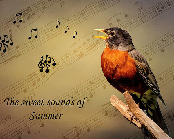 Bird Poster featuring the photograph Sweet Sounds of Summer by Cathy Kovarik