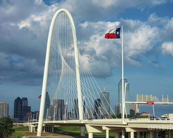 Cityscape Poster featuring the photograph Texas Flag on a Windy Day by Diana Mary Sharpton