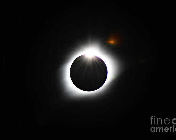 Eclipse; Diamond Ring; Corona; Light Flare; Night; Sky; Poster featuring the photograph The Diamond Ring by Tina Uihlein