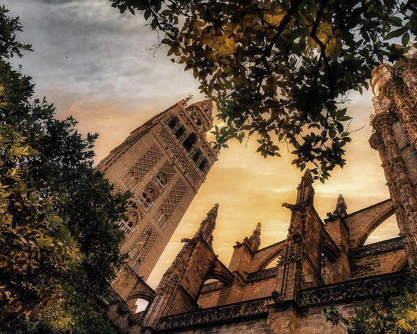 Cathedral Poster featuring the photograph The Gothic Cathedral by Micah Offman