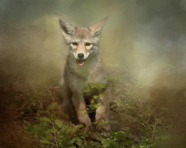 Coyote Poster featuring the digital art The Littlest Pack Member by Nicole Wilde