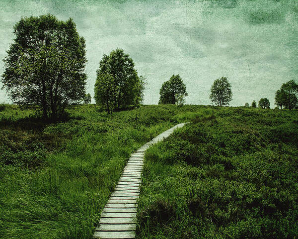 Land Poster featuring the photograph The long path by Yasmina Baggili