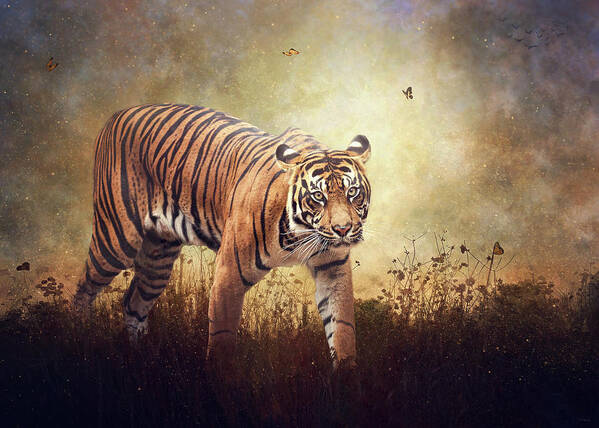 Tiger Poster featuring the digital art The Look by Nicole Wilde