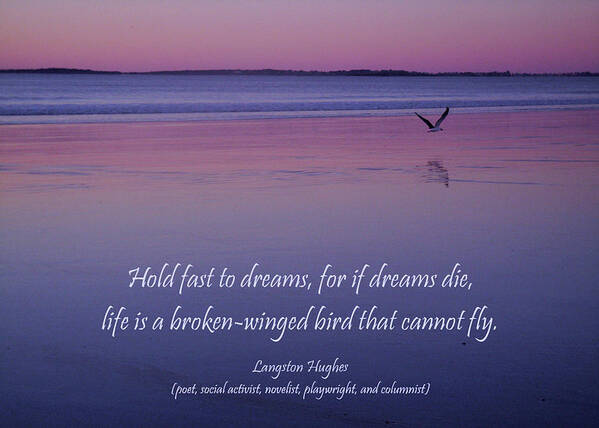 Sentiment Poster featuring the photograph Thoughts of Dreams by Nancy Griswold