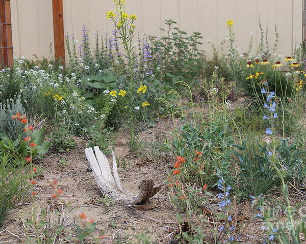 Native Wildflowers Poster featuring the photograph ThunderVisions Studio Flowerbed by Doug Miller