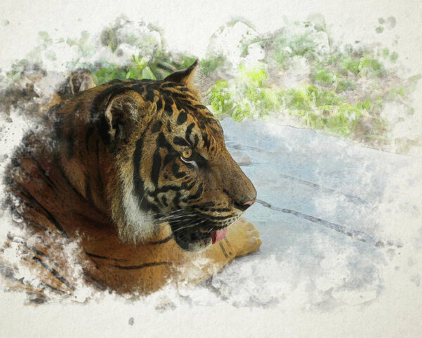 Tiger Poster featuring the digital art Tiger Portrait with Textures by Alison Frank