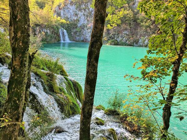 Plitvice Lakes Poster featuring the photograph Turquoise Beauty In The Woods by Yvonne Jasinski
