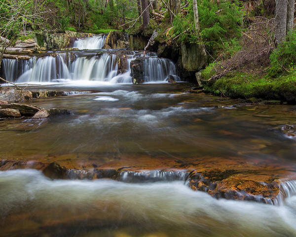 Upper Poster featuring the photograph Upper Nathan Pond Brook Cascade by Chris Whiton