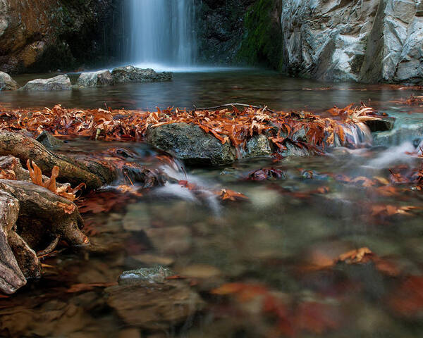 Troodos Poster featuring the photograph Waterfall and river flowing with maple leaves on the rocks on the river in Autumn by Michalakis Ppalis