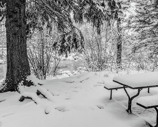 Bench Poster featuring the photograph Picnic Table in Snow by Tom Potter