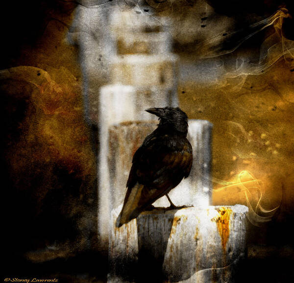 Crow Poster featuring the photograph Crow in Shadows by Stoney Lawrentz