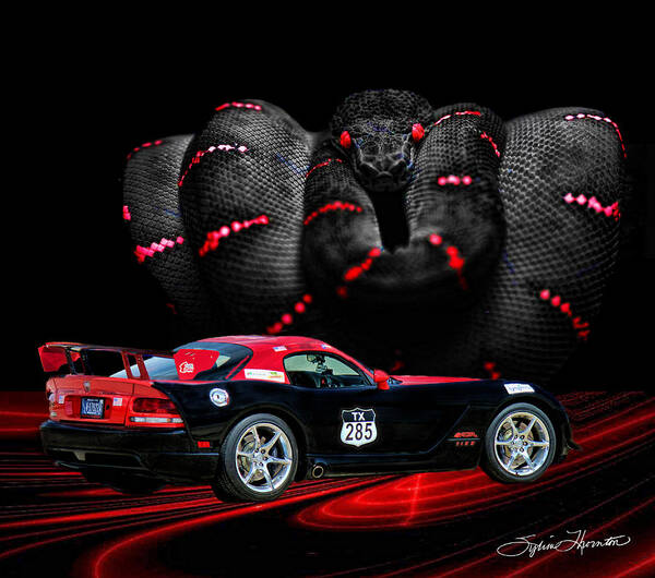 Sports Car Poster featuring the photograph 2010 Dodge Viper by Sylvia Thornton