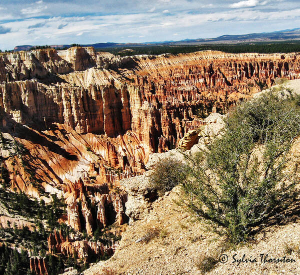 Bryce Park Poster featuring the photograph Rolling in the Deep by Sylvia Thornton