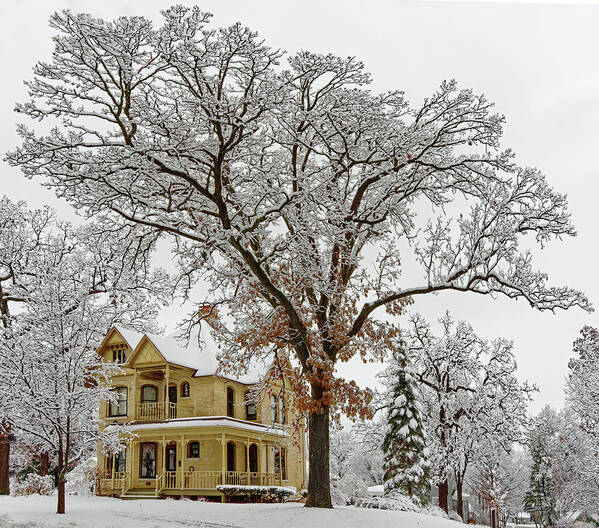 Oak Poster featuring the photograph Oakitecture #2 - Historic Stoughton home and oak tree in wintertime by Peter Herman