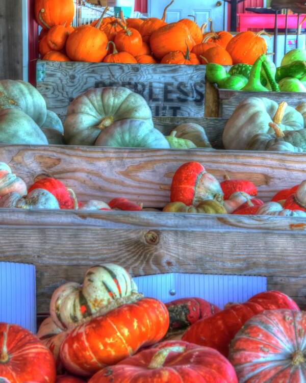 Fall Poster featuring the photograph Gourds Of Autumn by Jerry Sodorff