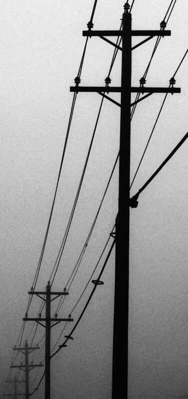 Fog Poster featuring the photograph Black and White Poles in Fog Left View by Tony Grider