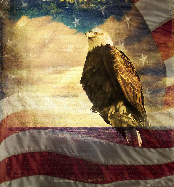 Patriotism Poster featuring the photograph We the People by Eleanor Abramson