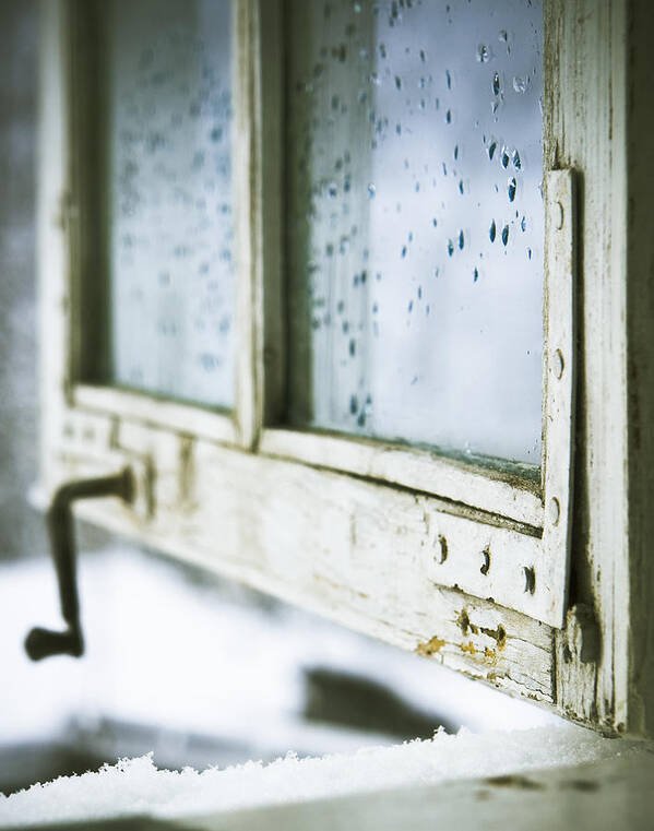 Window Poster featuring the photograph Wintage Wooden Window Closeup by Vlad Baciu