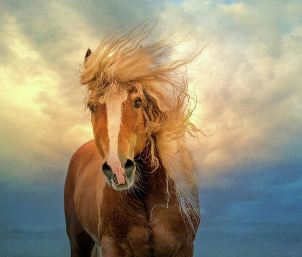 Horse Poster featuring the digital art Windswept by Nicole Wilde