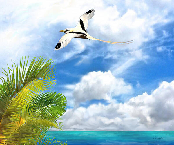 Tropic Bird Poster featuring the painting Flying High by Stephen Jorgensen