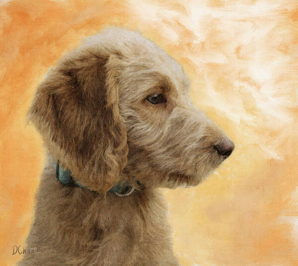 Puppy Poster featuring the painting Labradoodle Puppy by Diane Chandler