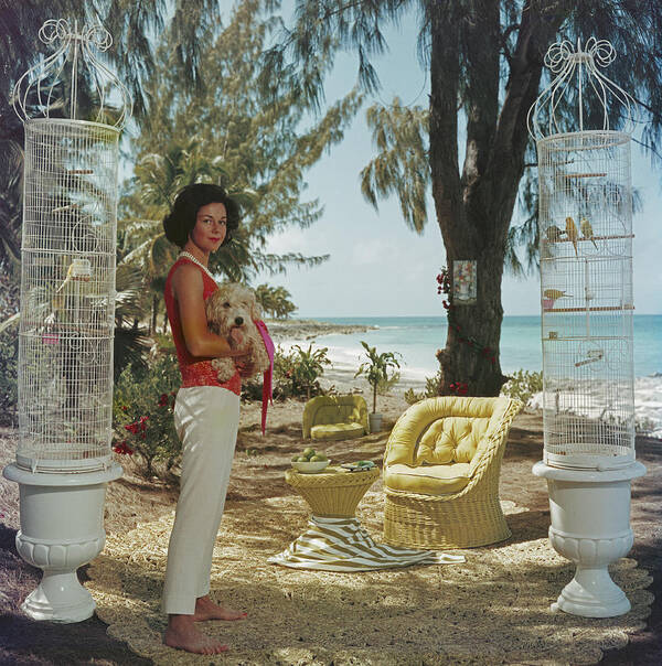 Pets Poster featuring the photograph Gloria Schiff by Slim Aarons