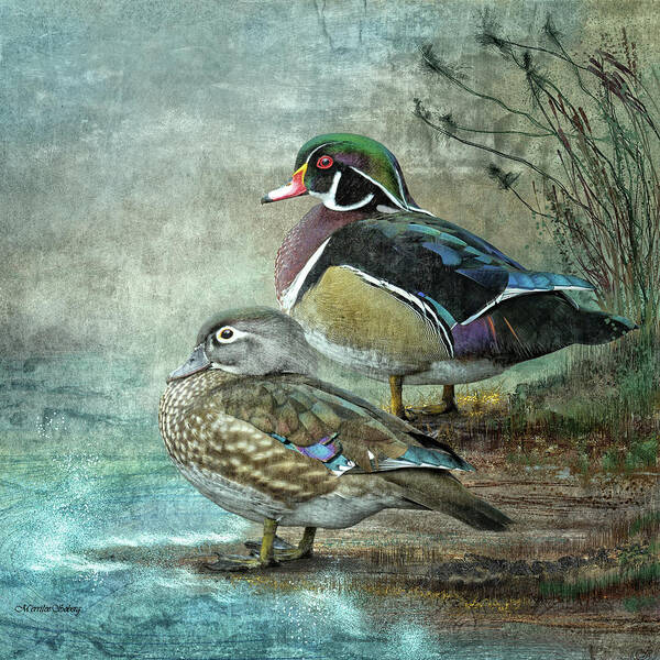 Bird Poster featuring the digital art Wood Ducks #1 by Merrilee Soberg