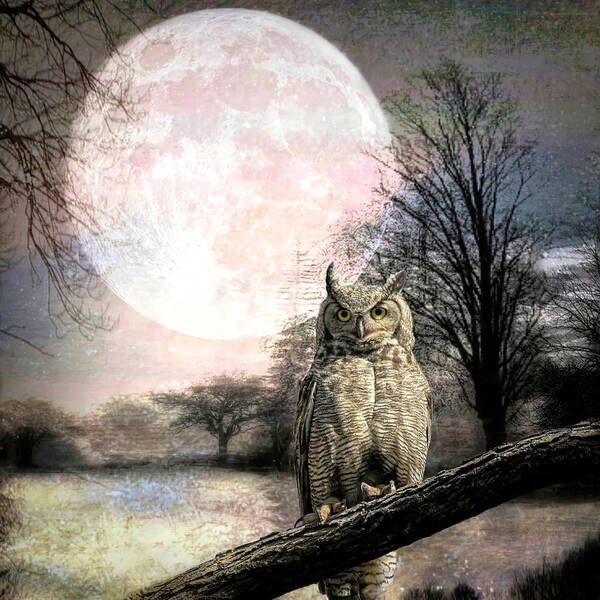 Great Horned Owl Poster featuring the photograph A Hunter's Moon by Donna Kennedy