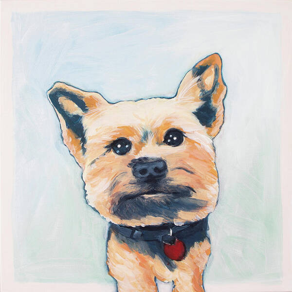Yorkie Poster featuring the painting Bear by Pamela Schwartz