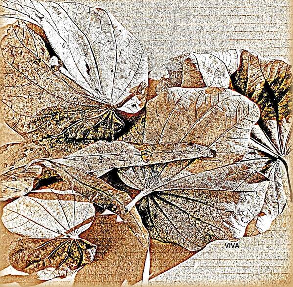 Leaves Poster featuring the photograph Lovely Leaves Litterfall by VIVA Anderson