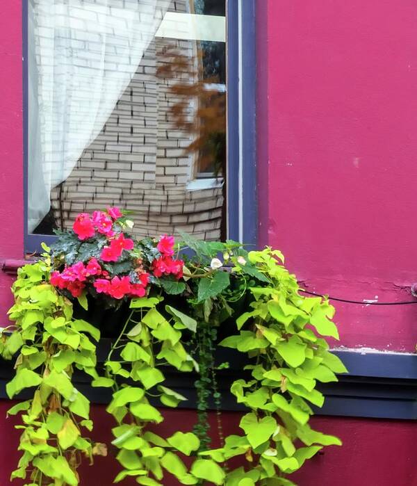 Mcminnville Poster featuring the photograph Window Box Reflections by Jerry Sodorff