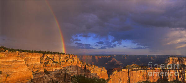 North America Poster featuring the photograph Panorama Rainbow over Cape Royal North Rim Grand Canyon National Park by Dave Welling