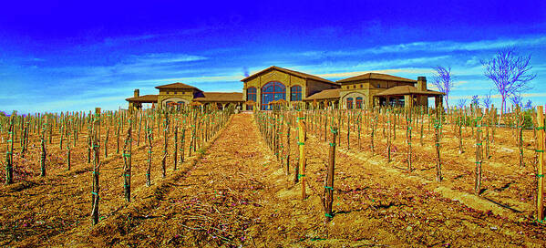 Farm Poster featuring the photograph Winery Farm by Joseph Hollingsworth