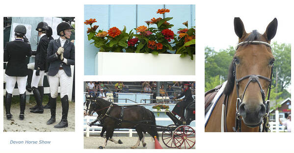 Devon Horse Show Poster featuring the photograph Devon Horse Show Group by Mary Ann Leitch