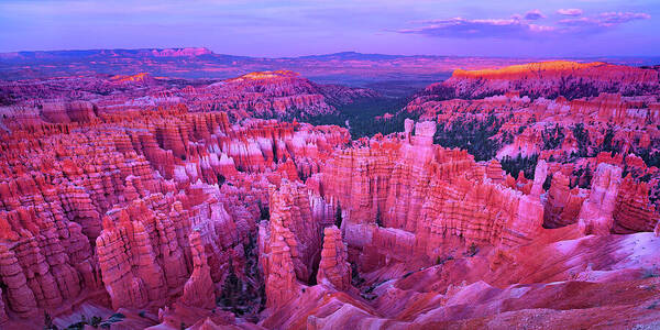 Bryce Canyon Poster featuring the photograph Bryce Canyon overlook II by Giovanni Allievi