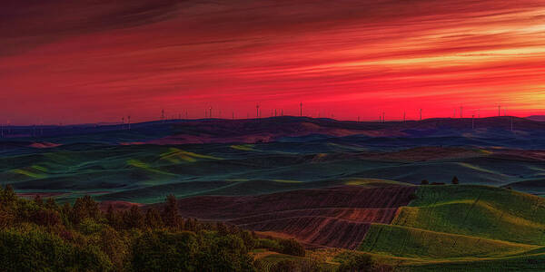 Palouse Poster featuring the photograph Palouse 8 by Thomas Hall