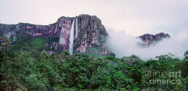 Dave Welling Poster featuring the photograph Panorama Angel Falls Canaima Np Venezuela by Dave Welling
