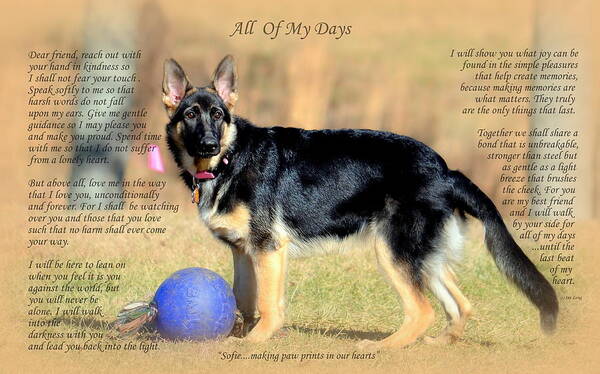 Quote Poster featuring the photograph Custom Paw Print Sofie by Sue Long