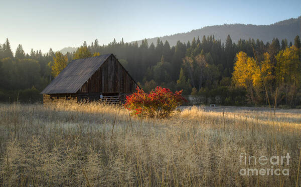 Barn Poster featuring the photograph Country Autumn by Idaho Scenic Images Linda Lantzy